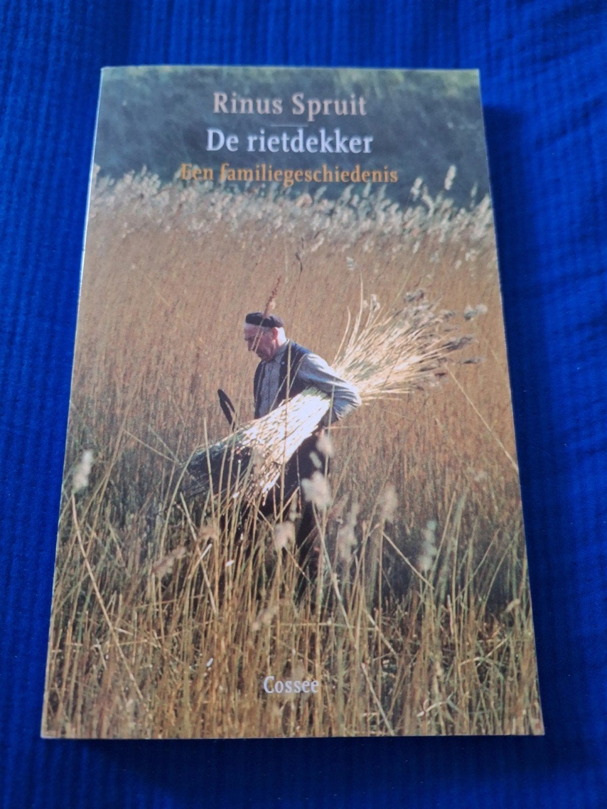 De rietdekker. Rinus Spruit, Boeken, Romans, Ophalen of Verzenden, Zo goed als nieuw, Rinus Spruit, Nederland