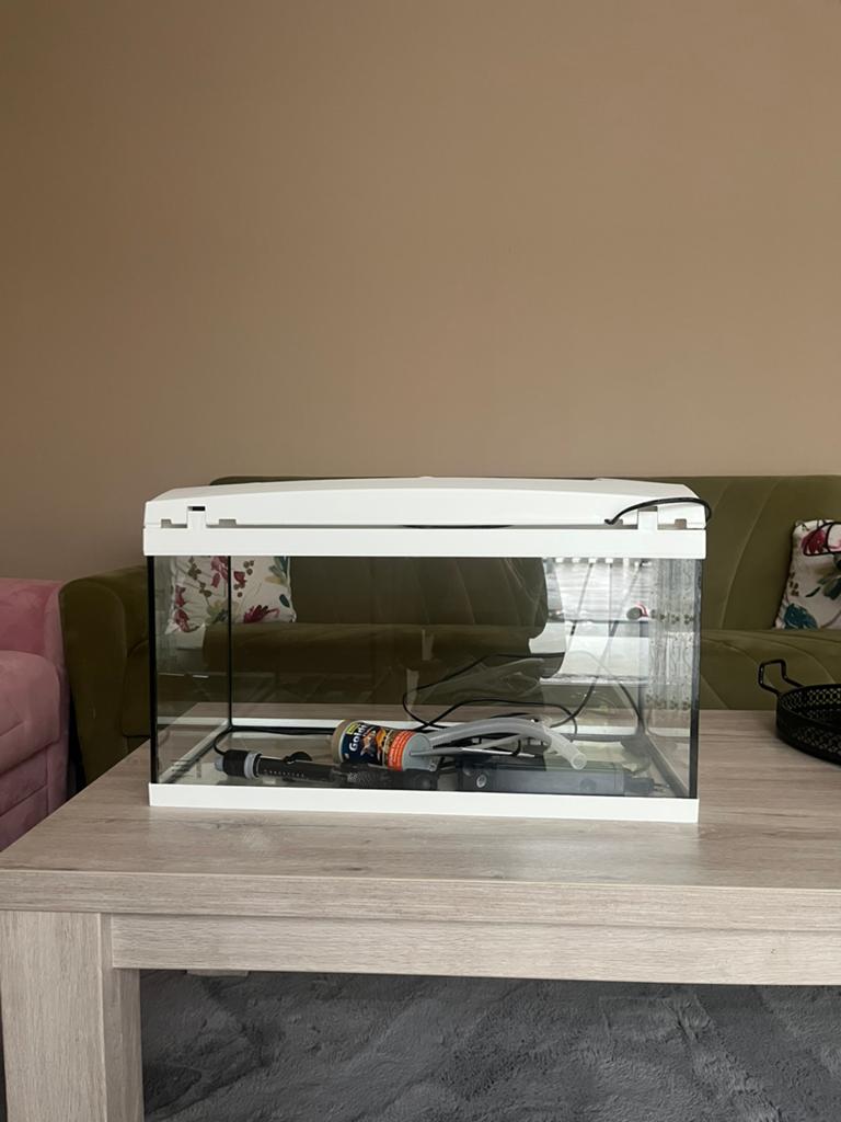 Aquarium wit 60 liter, afmetingen 60x31x34 cm in goede staat, Vis