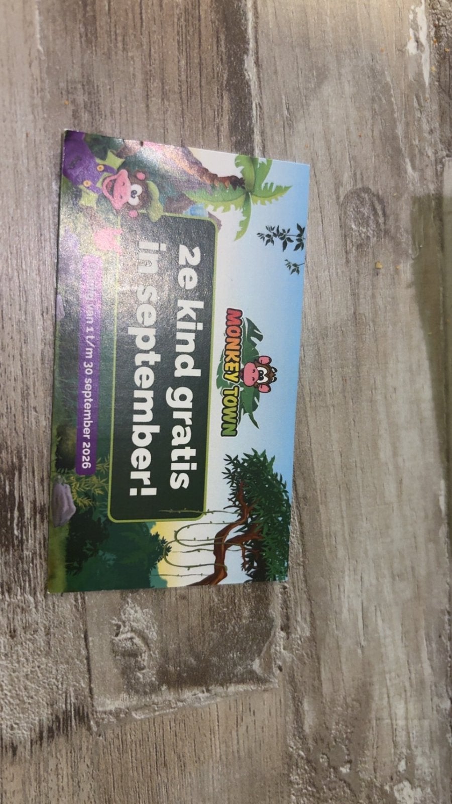 Monkey town ticket toegangsbewijs monkeytown speelpark, Eén persoon, Ticket of Toegangskaart
