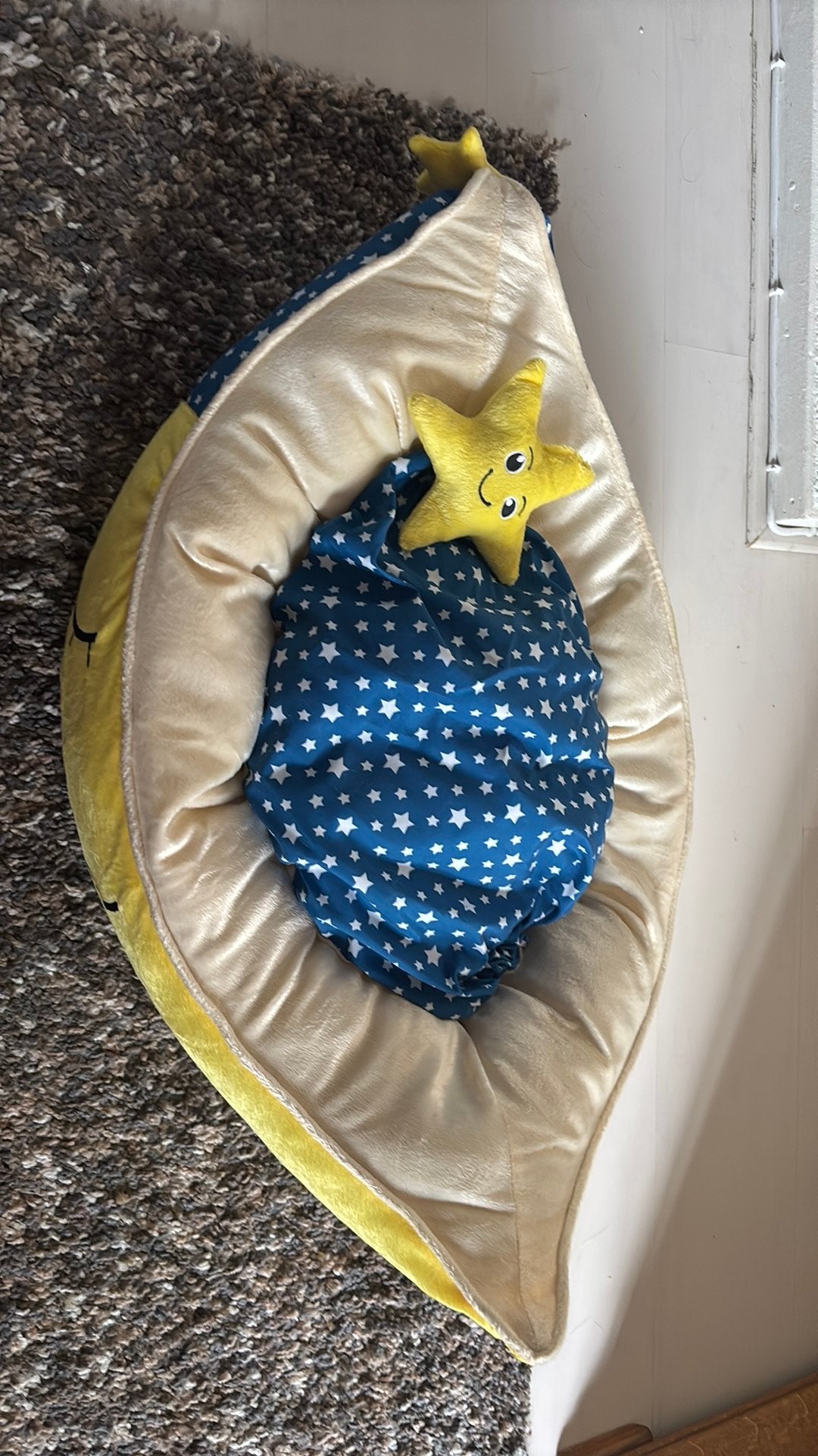 Leuke kattenmand, Ophalen, Zo goed als nieuw, Riet