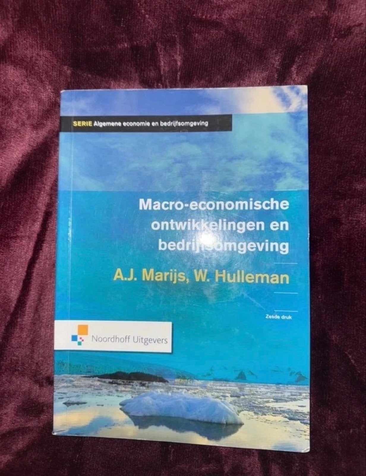 Macro-economische ontwikkelingen en bedrijfsomgeving, Verzenden, Gamma, Gelezen, HBO