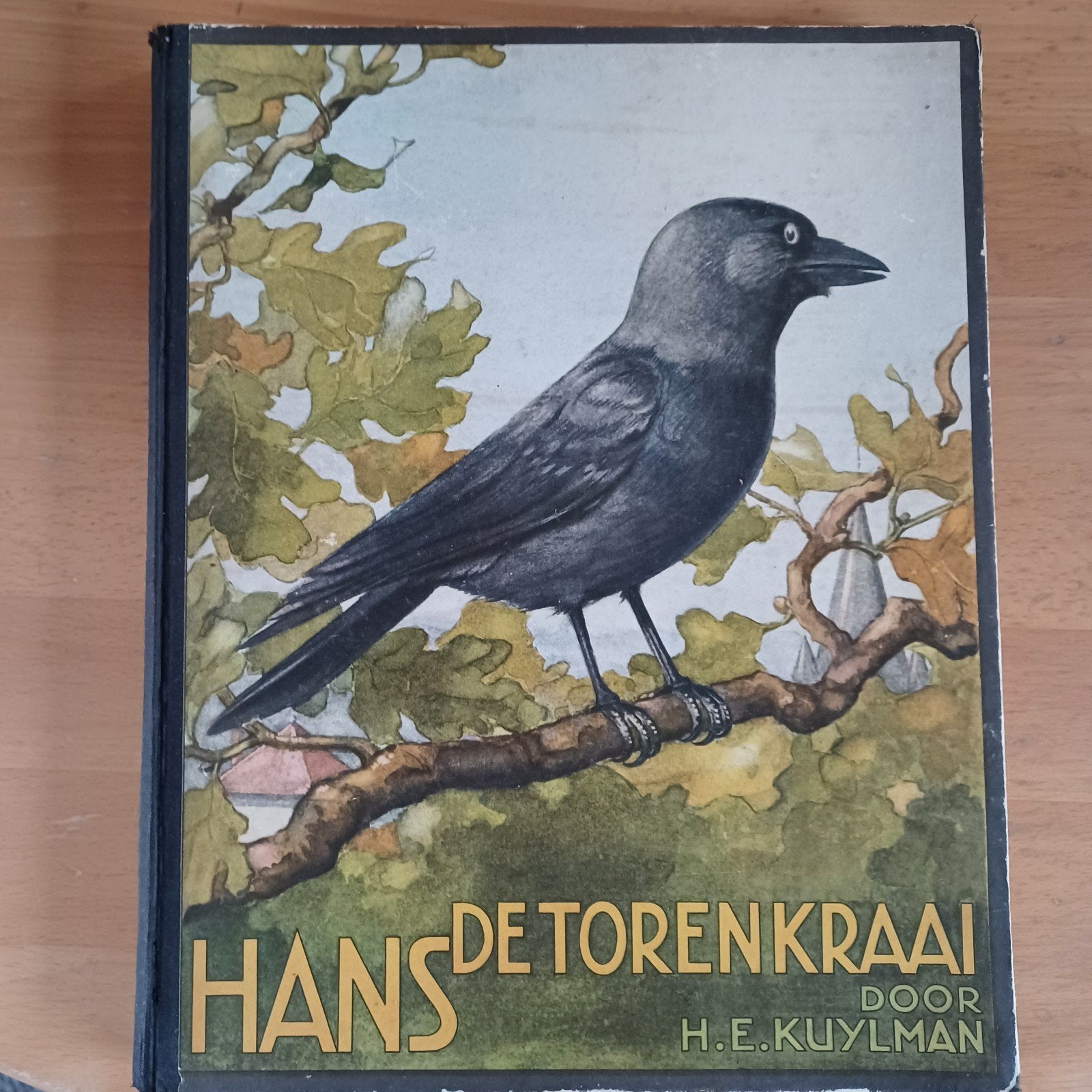 Hans de Torenkraai - H.E. Kuylman (1935), Boeken, Gelezen, H.E. Kuylman, Ophalen of Verzenden, Natuur algemeen