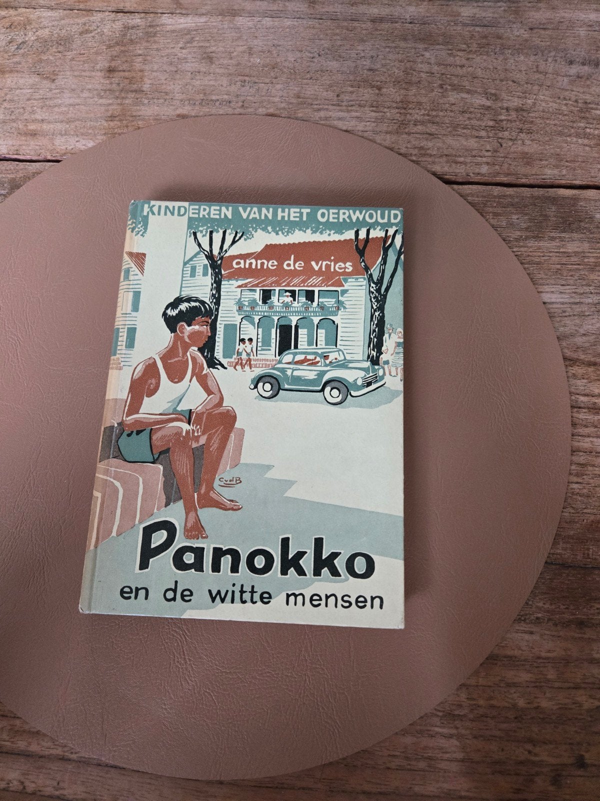 Panokko en de witte mensen - Kinderen van het Oerwoud, Boeken, Ophalen of Verzenden, Gelezen, Anne de Vries, Fictie algemeen