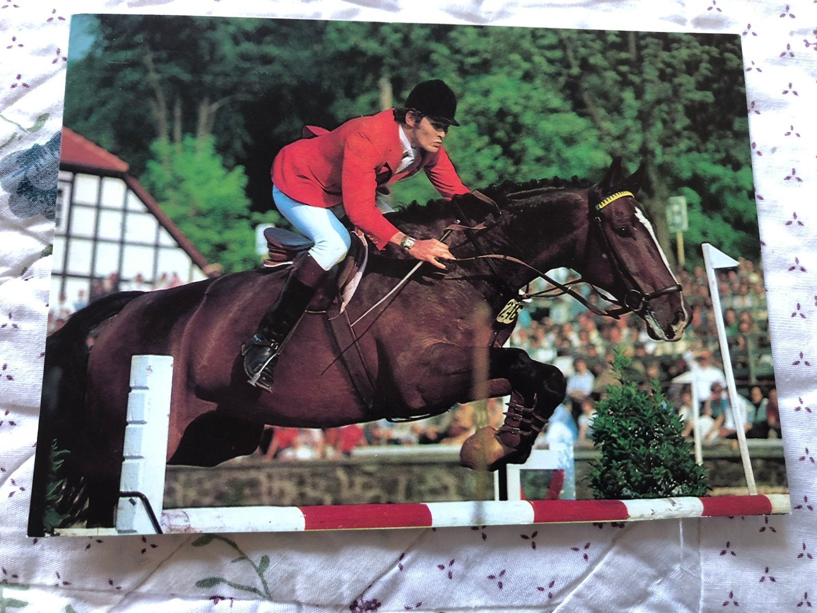 Springruiter met paard, Ophalen of Verzenden, Paard