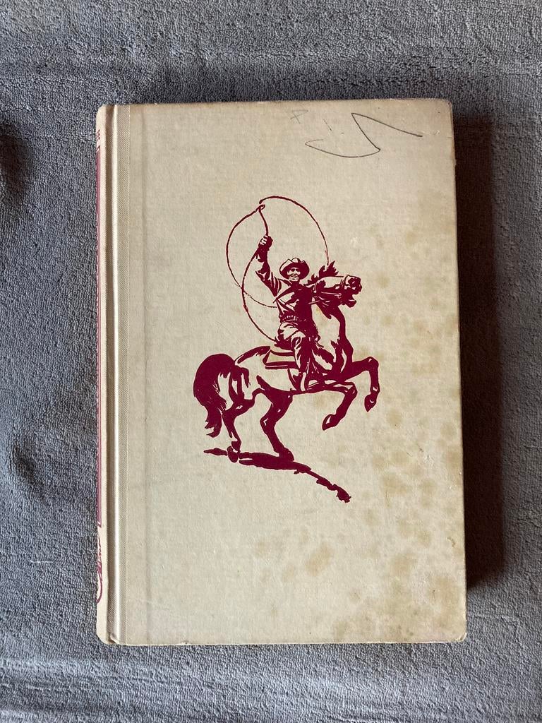 P. Nowee Arendsoog no 35, Ophalen of Verzenden, Gelezen, Fictie