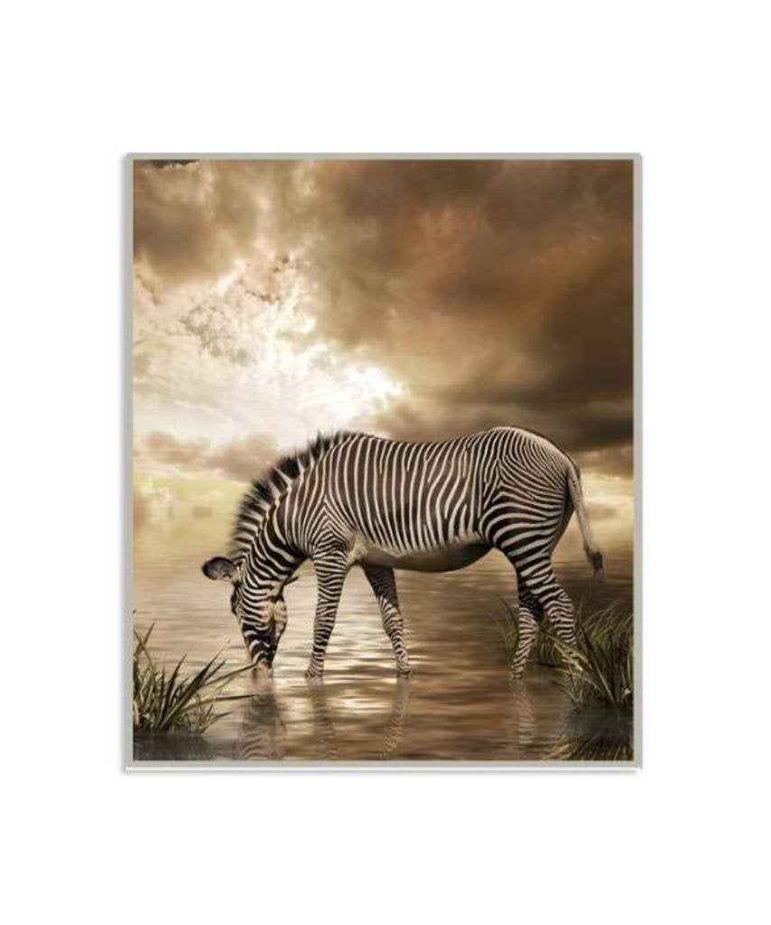 Diamond painting zebra inclusief accesoires, Ophalen of Verzenden, Nieuw, Knutselwerk
