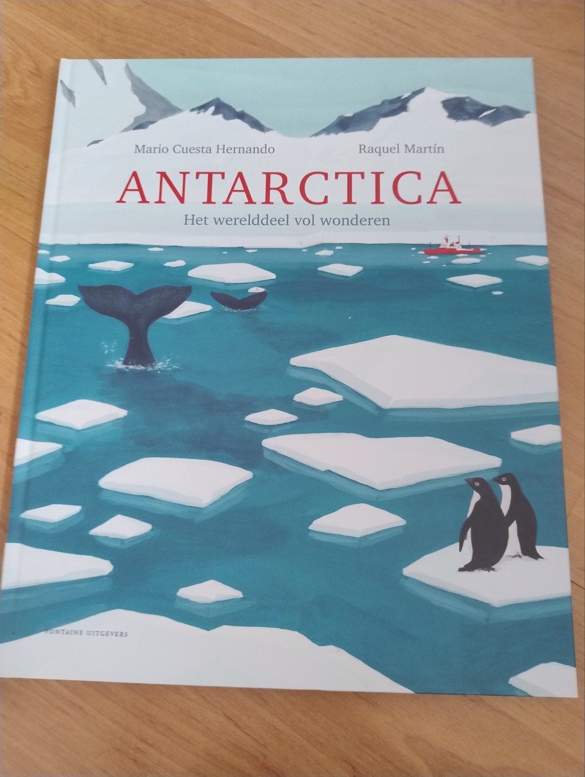 Mario Cuesta Hernando - Antarctica, Non-fictie, Ophalen of Verzenden, Zo goed als nieuw, Mario Cuesta Hernando