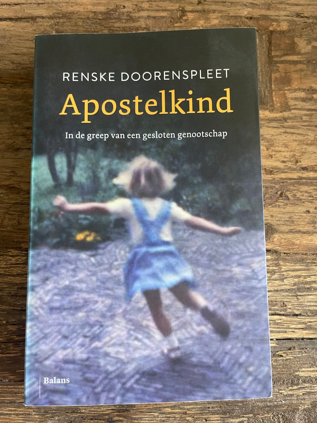 Apostelkind - Renske Doorenspleet, Ophalen of Verzenden, Gelezen, Religie