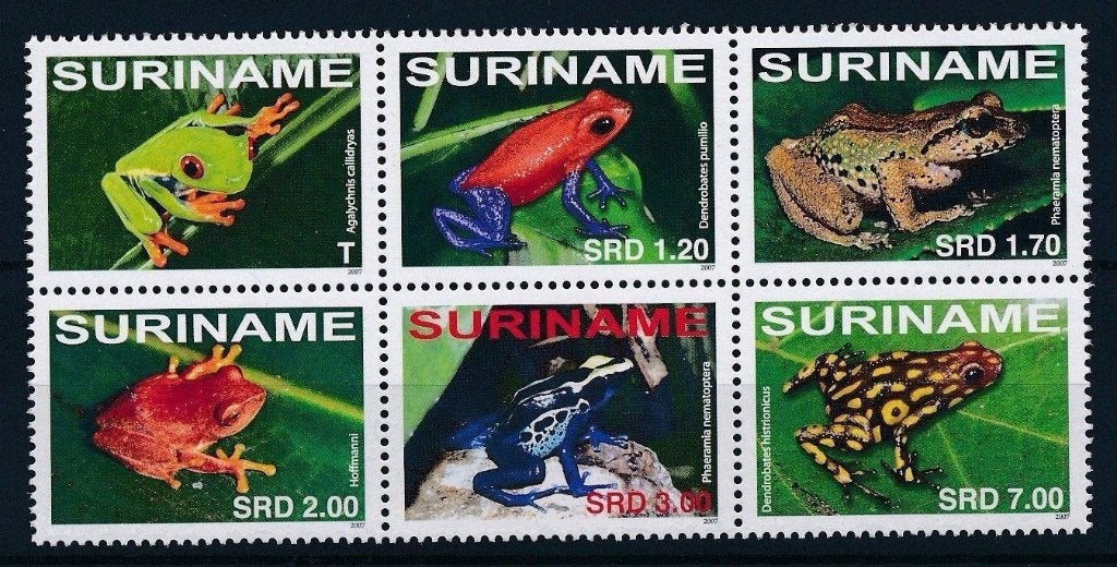 SURINAME 66 - Dieren: amfibieën (kikkers), Verzenden, Postfris, Dier of Natuur