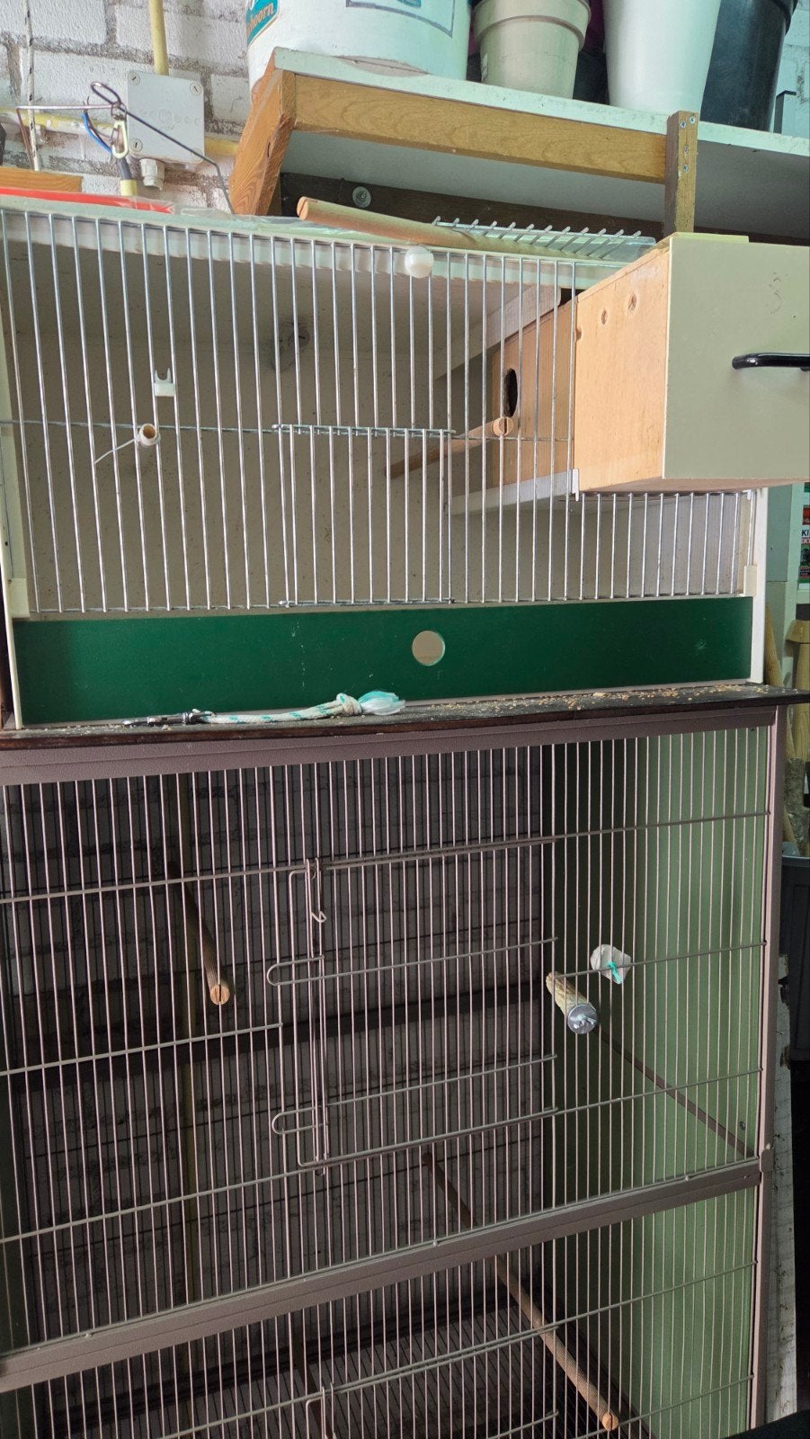 broedkooi, Dieren en Toebehoren, Vogels | Hokken en Kooien, Ophalen, Zo goed als nieuw, Kunststof, Broedkooi of Kweekkooi