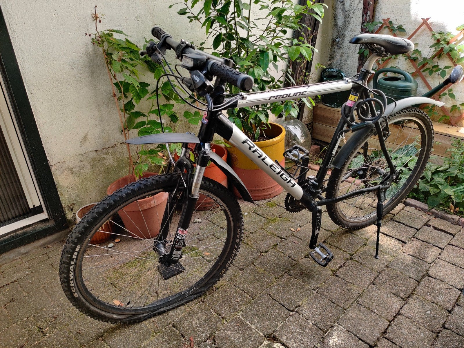 Mountainbike Raleigh (veelgebruikt), Fietsen en Brommers, Fietsen | Mountainbikes en ATB, Gebruikt, Hardtail, Velgrem, Dames