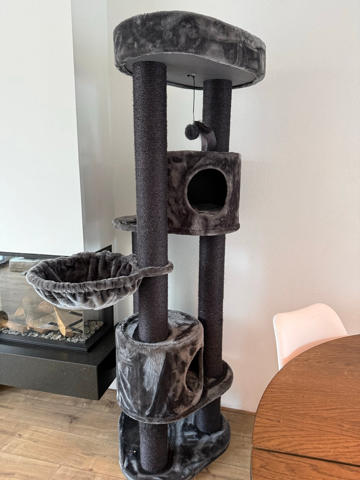 Kattenboom van Petrebels
