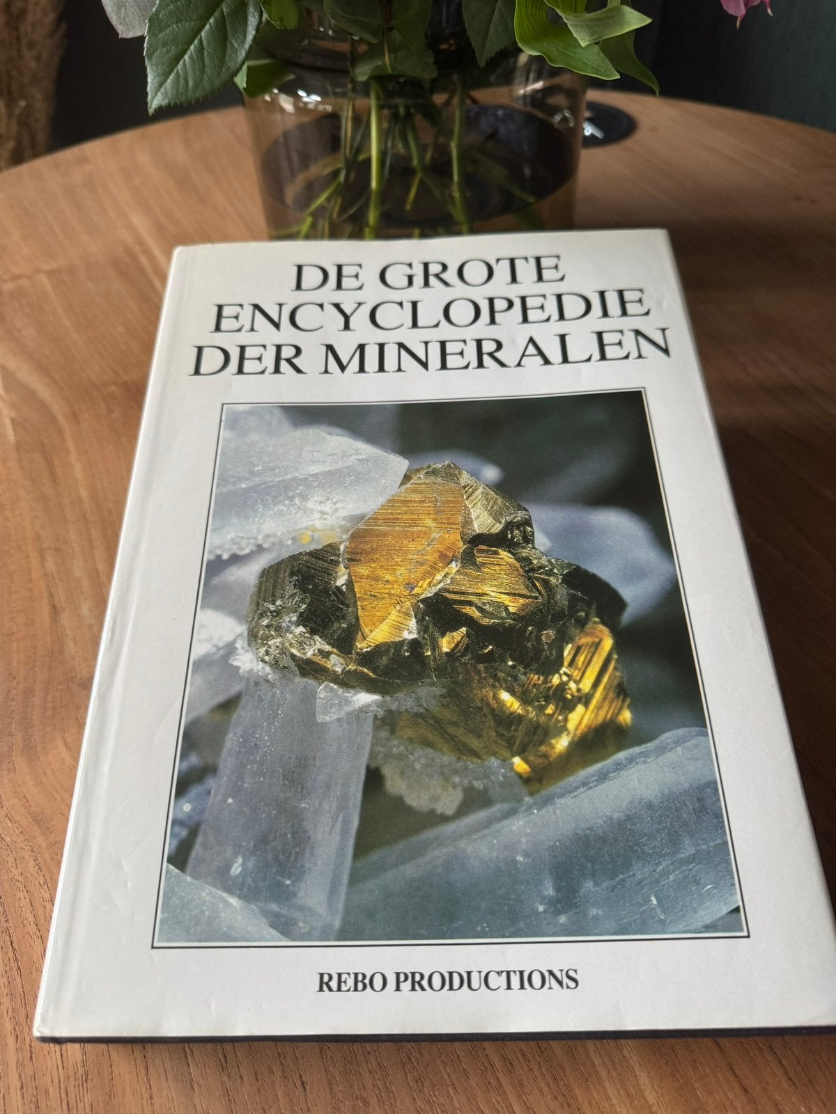 REBO Grote encyclopedie Mineralen, Ophalen of Verzenden, Gelezen