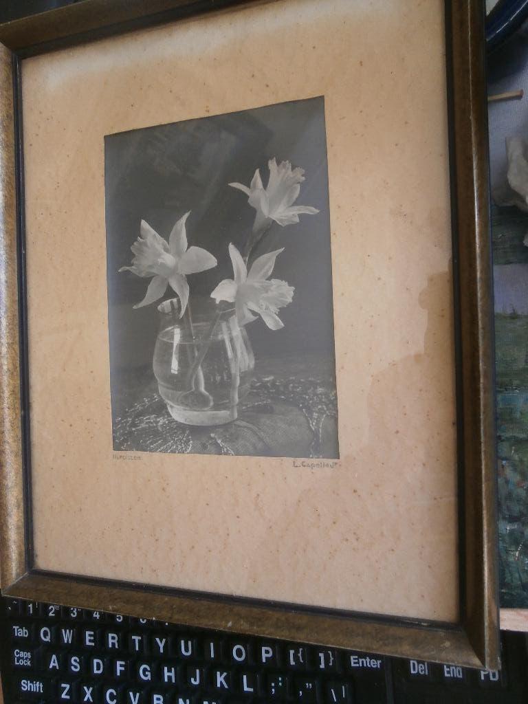 L. van Cappelle, Getekend of litho vaas met narcissen, Antiek en Kunst, Kunst | Tekeningen en Foto's, Ophalen of Verzenden