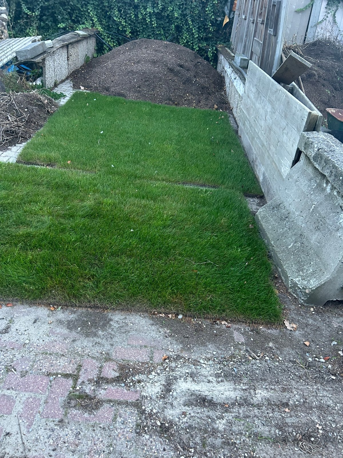 Vers gras voor uw tuin - direct te leggen, Ophalen of Verzenden, Nieuw, 10 tot 20 m², Gras