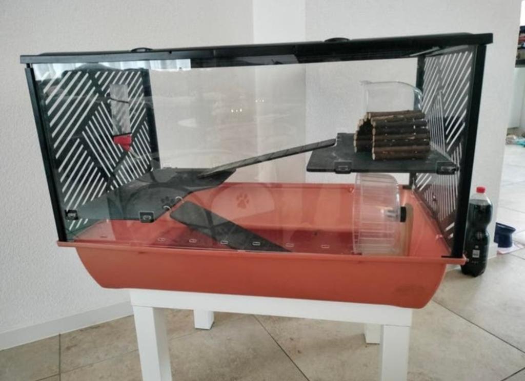Hamsterkooi, Dieren en Toebehoren, Knaagdieren en Konijnen | Hokken en Kooien, Kooi, Gebruikt, Minder dan 75 cm, Ophalen