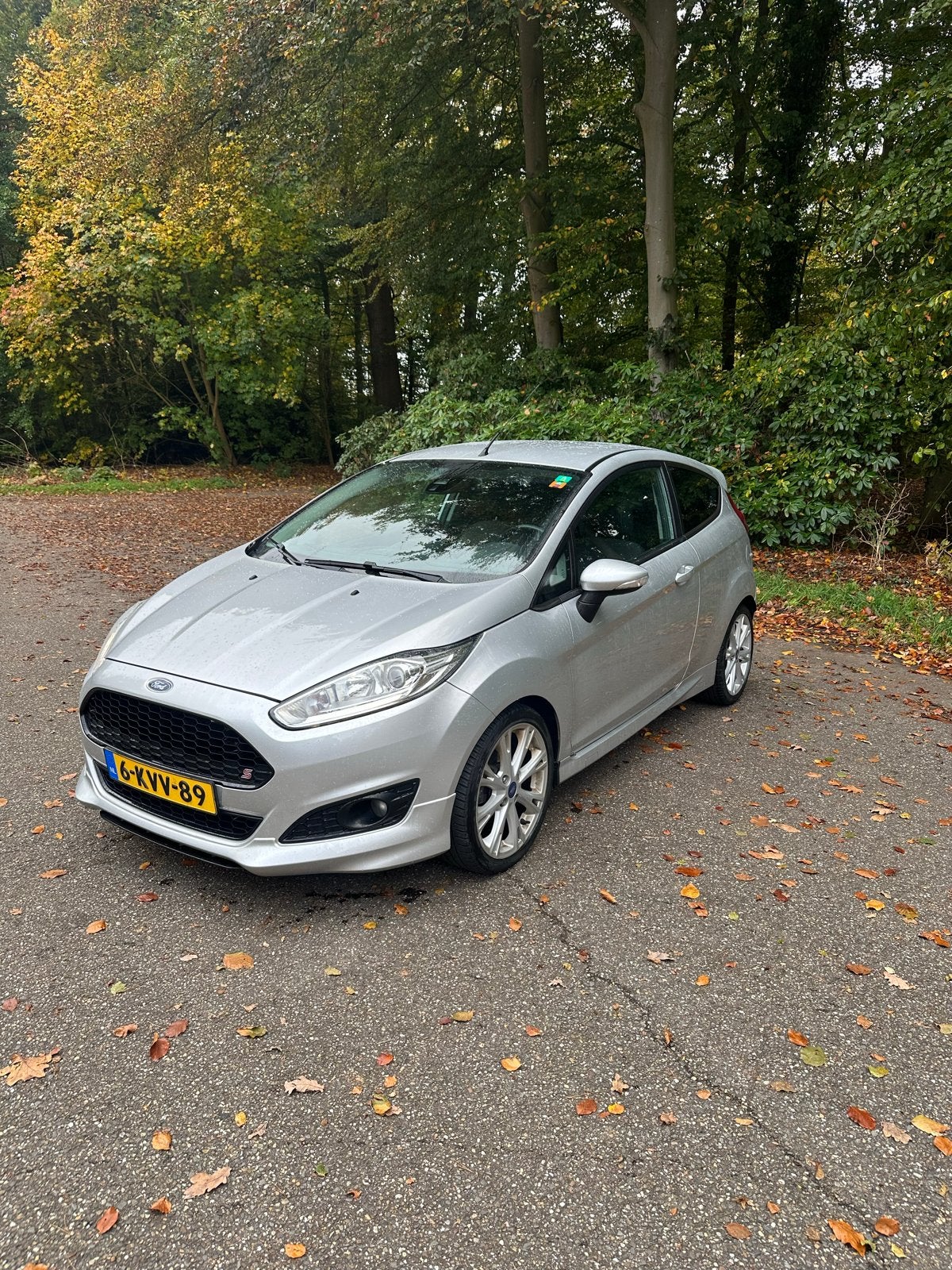 Ford Fiësta 1.0 92KW/125PK 3D 2013 Grijs, Voorwielaandrijving, 125 pk, 40 €/maand, 23 km/l