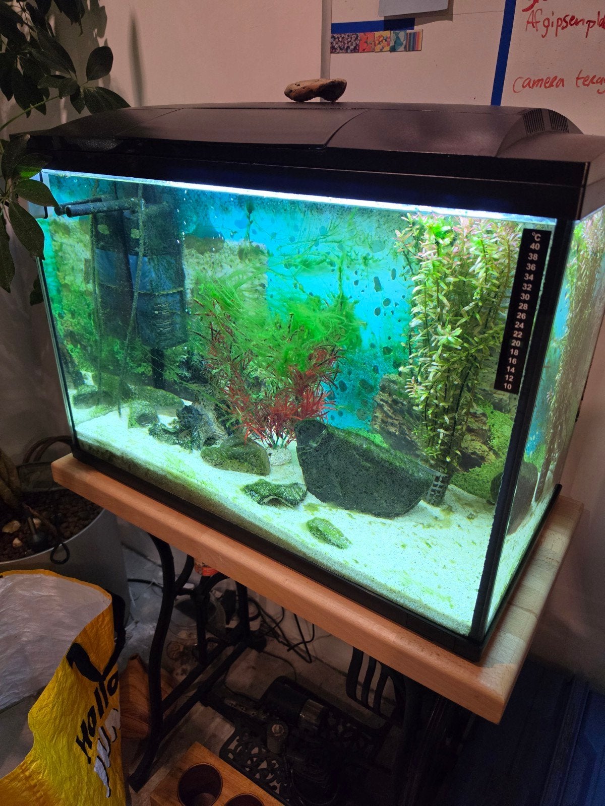 aquarium 60x30x30., Ophalen, Gebruikt, Leeg aquarium, Pomp