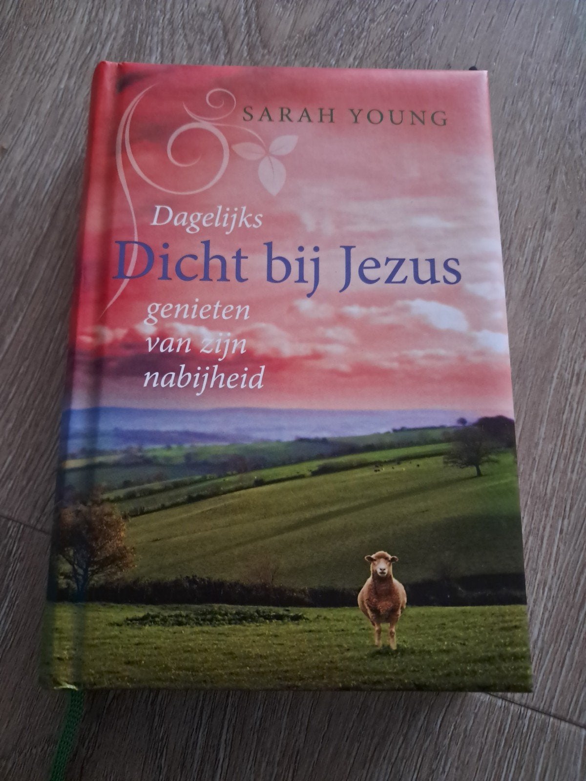 Sarah Young - Dicht bij Jezus, Verzenden, Zo goed als nieuw, Sarah Young