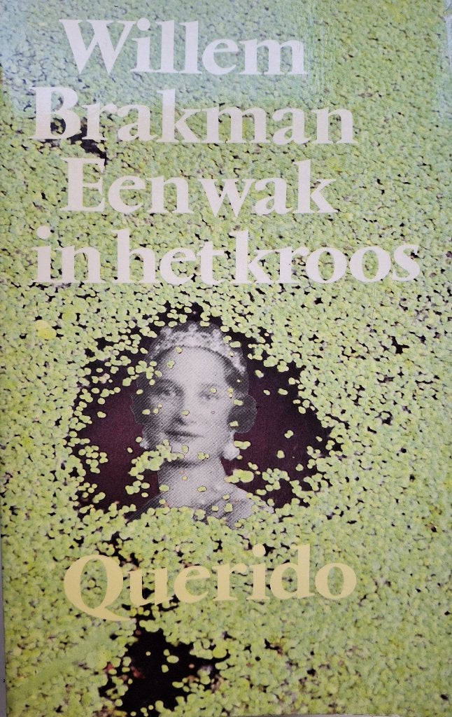 Willem Brakman - Een wak in het kroos, Ophalen of Verzenden, Gelezen, Nederland