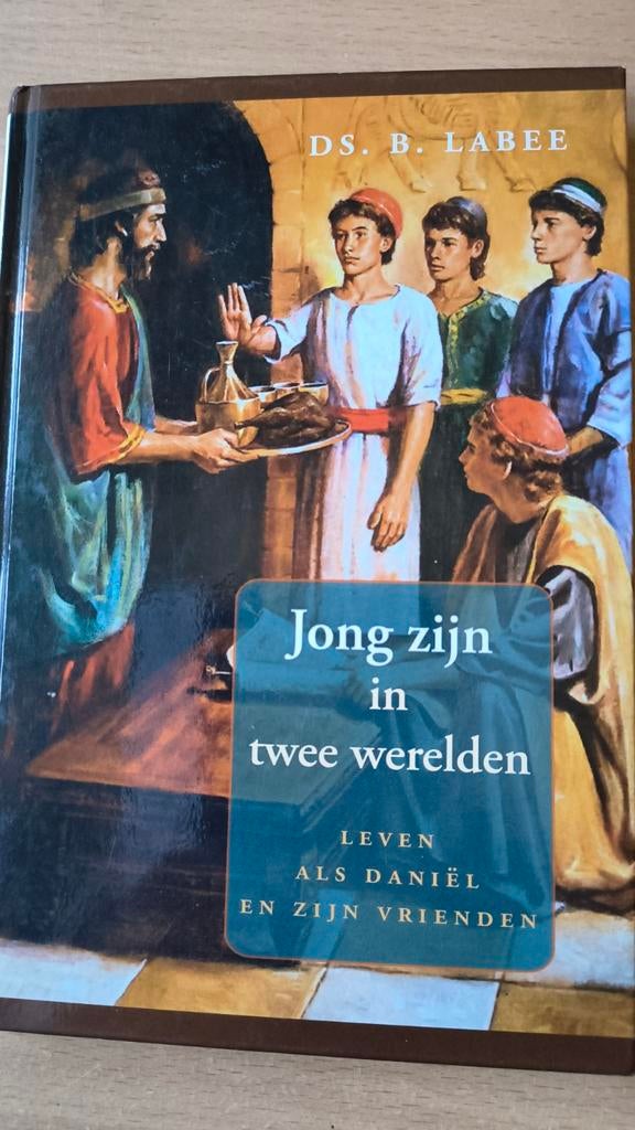 Jong zijn in twee werelden. Ds B Labee, Boeken, Ophalen of Verzenden, Ds B Labee, Christendom | Protestants