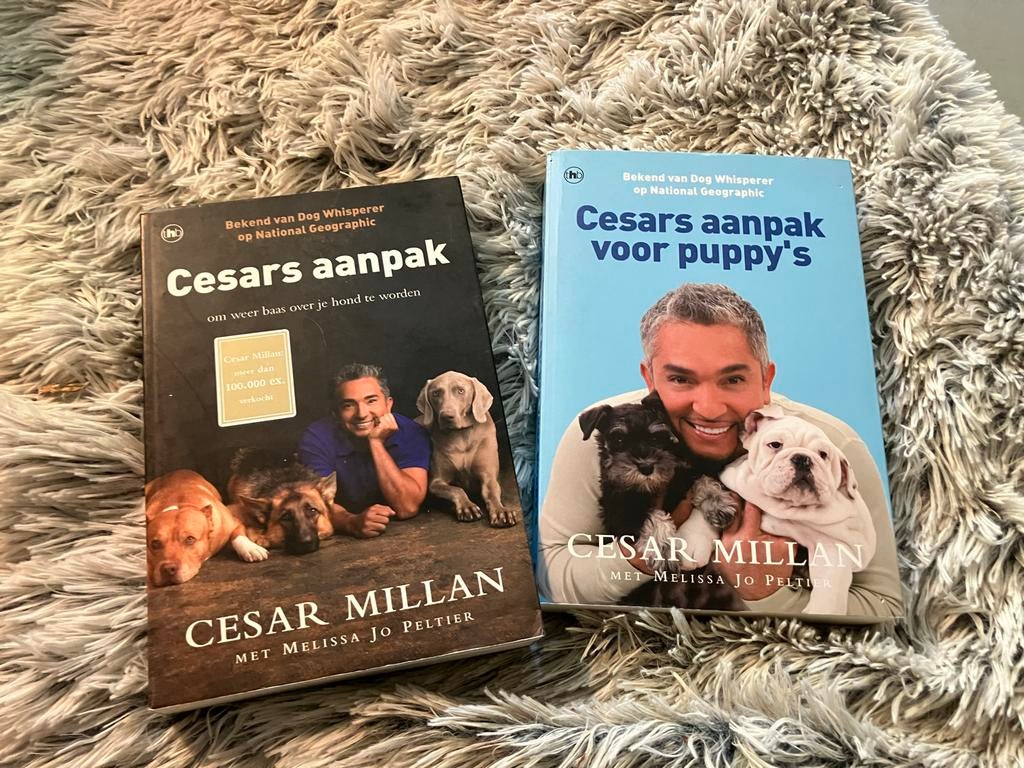 Twee boeken van Cesar Millan: Cesars aanpak & Cesars aanpak, Boeken, Dieren en Huisdieren, Ophalen of Verzenden, Gelezen, Honden