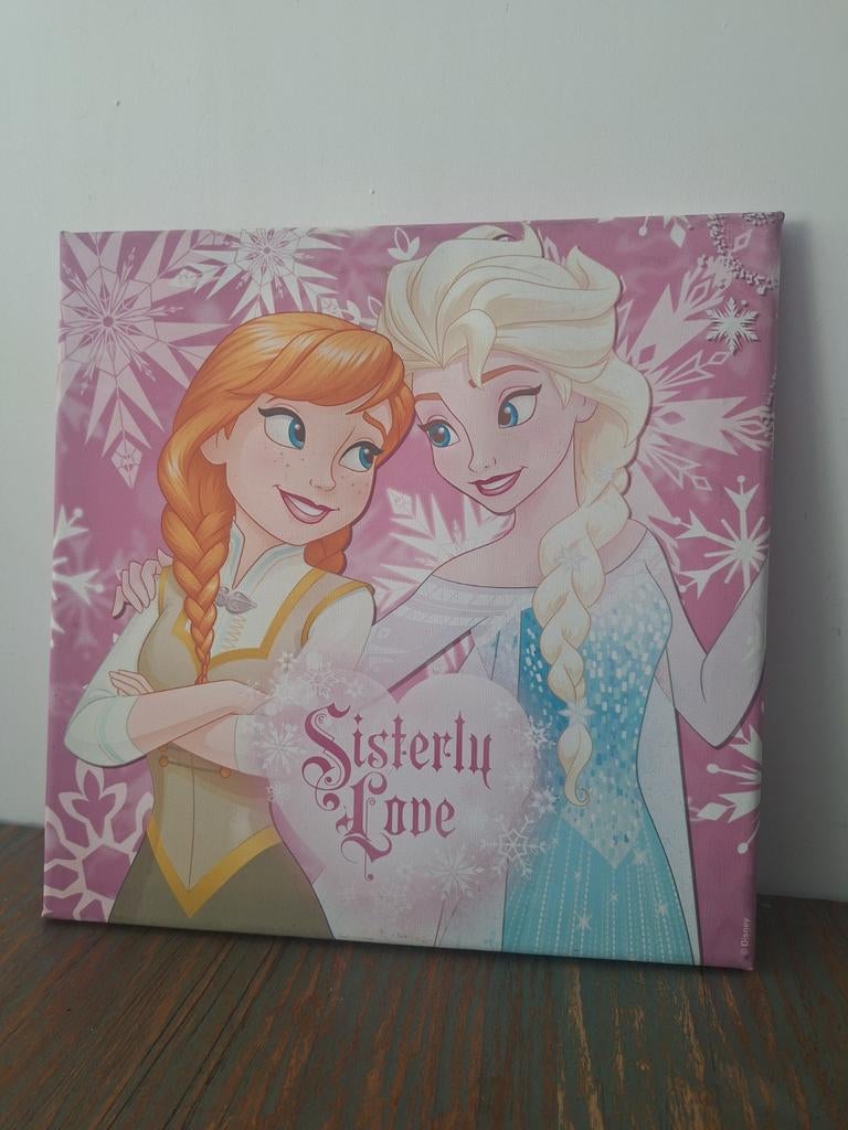 Canvas Frozen 30x30 cm, Ophalen of Verzenden, Zo goed als nieuw, Wanddecoratie