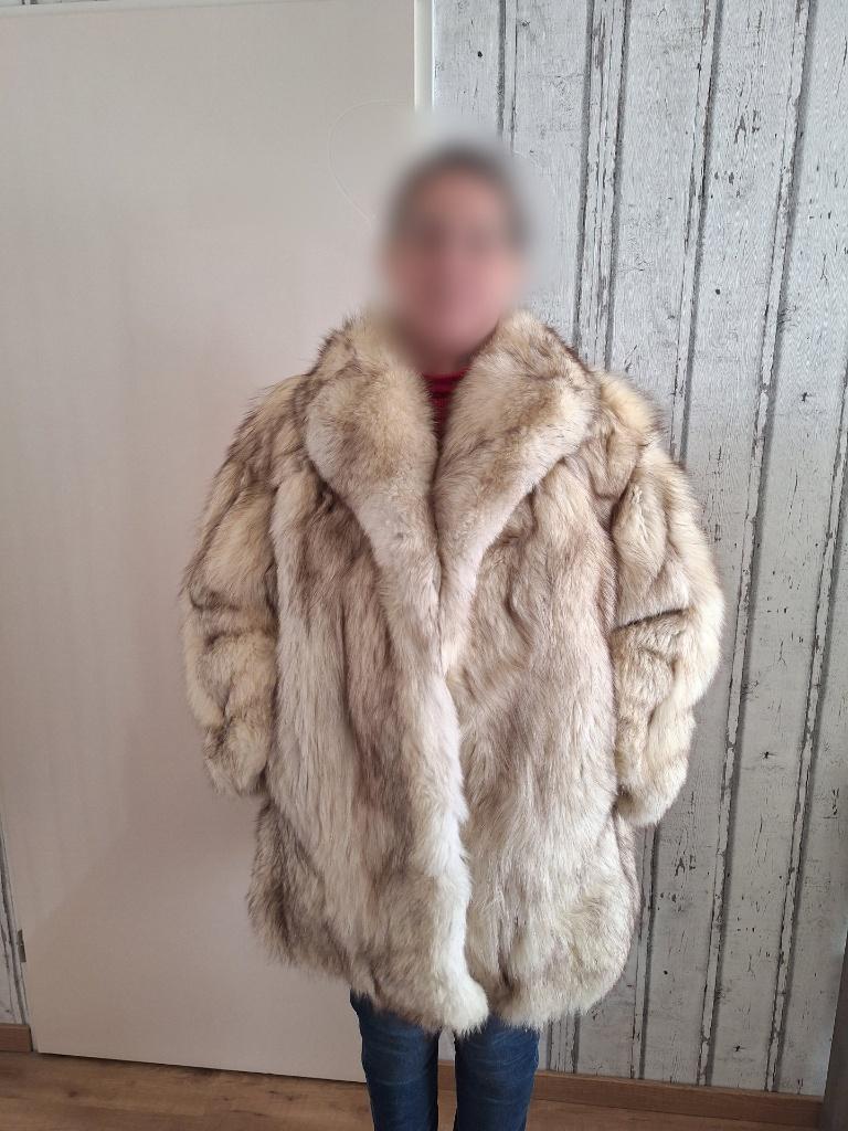 Enorme dikke volle blauwvos bontjas, maat XL, 46, Kleding | Dames, Ophalen of Verzenden, Zo goed als nieuw, Maat 46/48 (XL) of groter