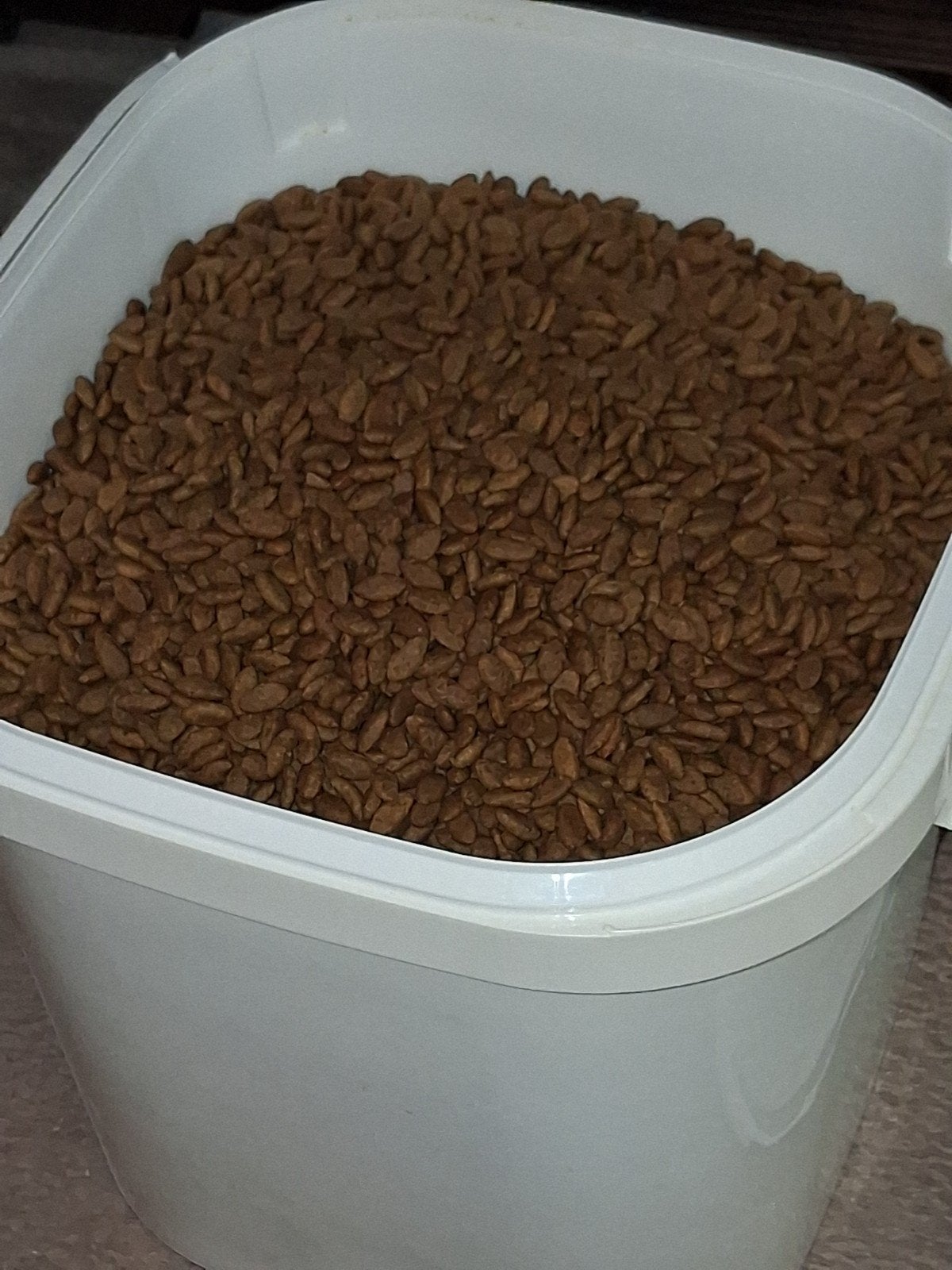 Hondenbrokken proplan adult zalm, Dieren en Toebehoren, Ophalen, Hond