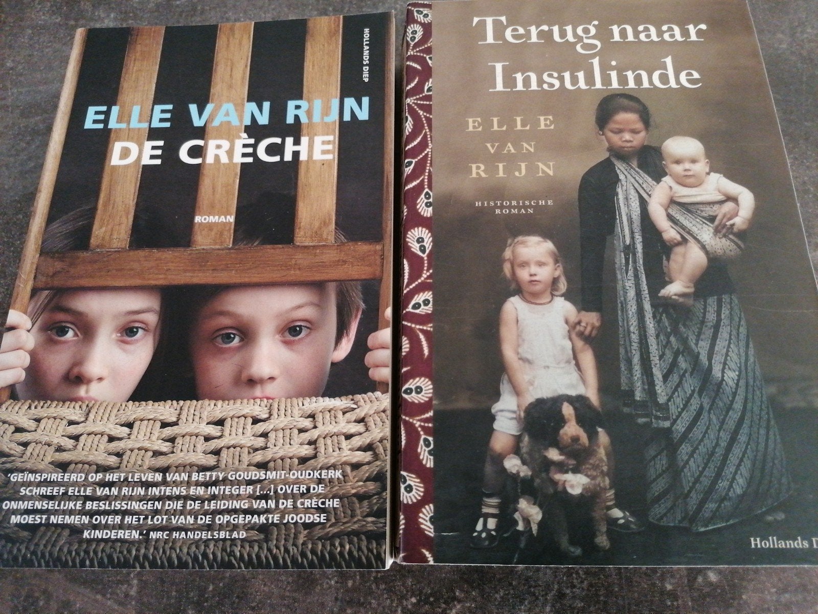 2 boeken Elle van Rijn: De Crèche en Terug naar Insulinde, Gelezen, Elle van Rijn, Ophalen of Verzenden, Nederland