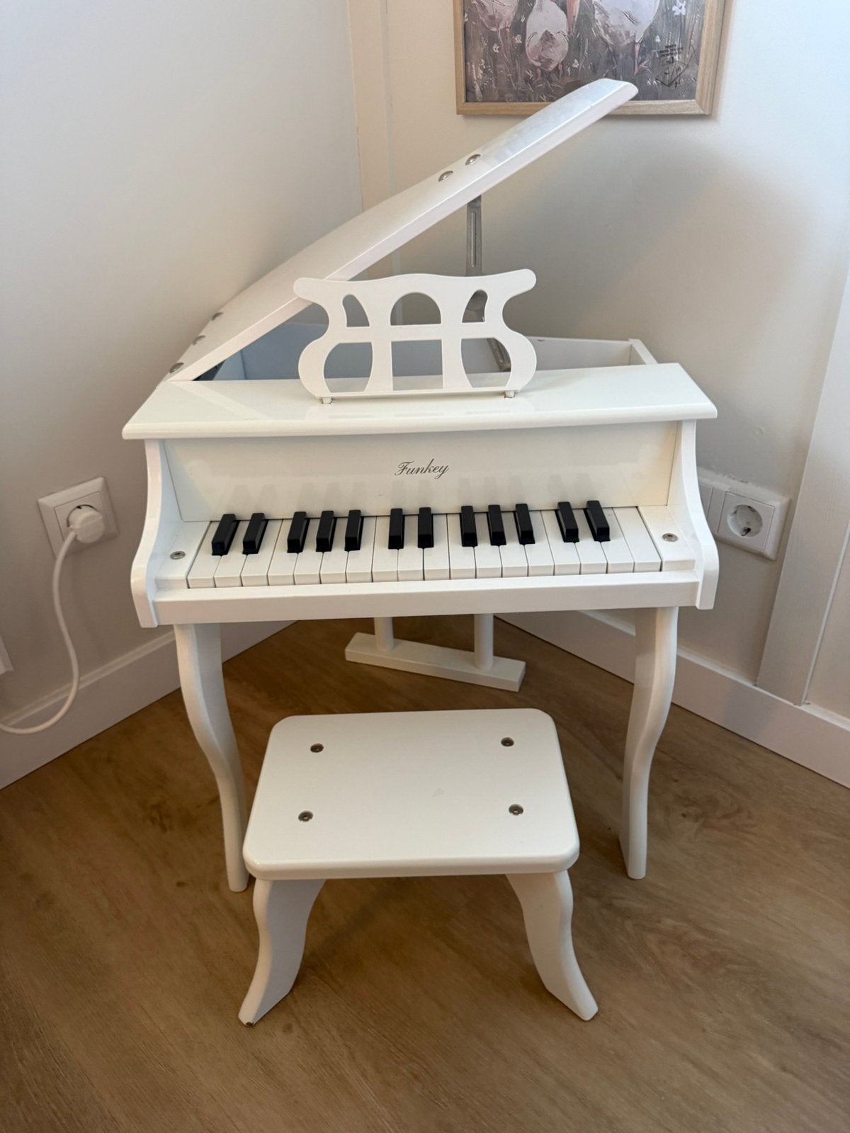 Funkey kinder piano, Muziek en Instrumenten, Ophalen, Zo goed als nieuw, 2 klavieren, Orgel