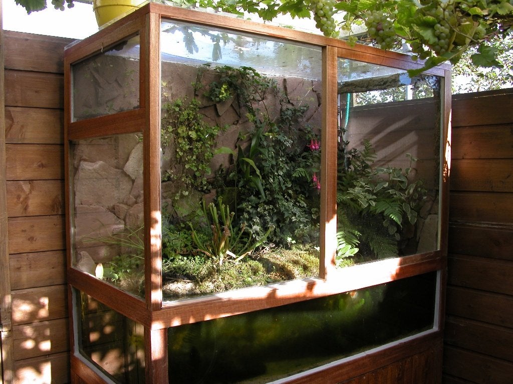 Terrarium, Dieren en Toebehoren, Reptielen en Amfibieën | Toebehoren, Ophalen, Gebruikt, Terrarium of Paludarium