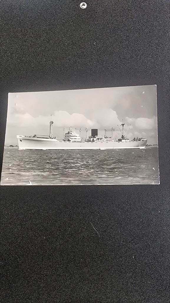 Oude ansichtkaart ms. Rotterdam, Ophalen of Verzenden