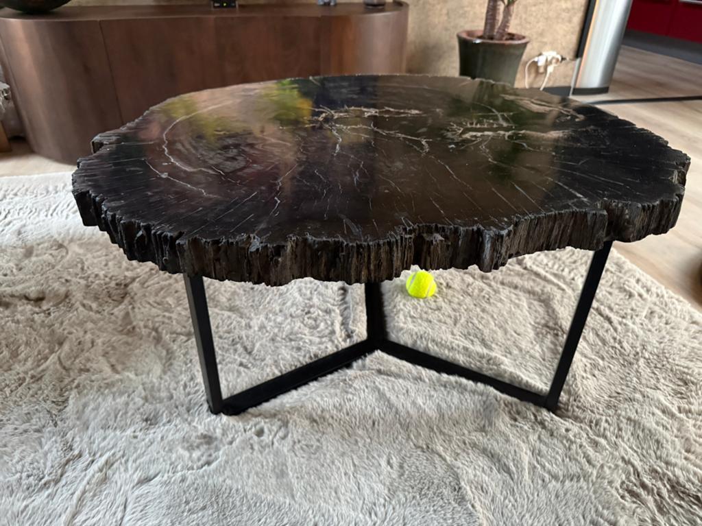 Versteende Houten Salontafel – Uniek Designstuk (90 x 75 cm), Ophalen, Overige materialen, 50 tot 100 cm, 50 tot 100 cm