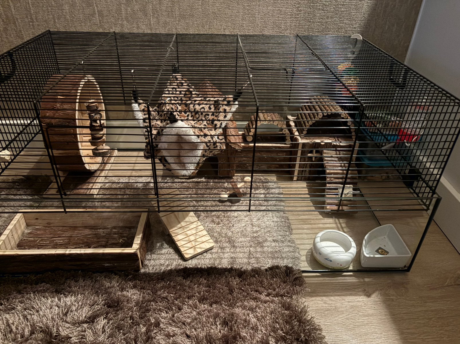 hamsterkooi glas, Dieren en Toebehoren, Knaagdieren en Konijnen | Hokken en Kooien, Ophalen, Zo goed als nieuw, Kooi, Minder dan 60 cm