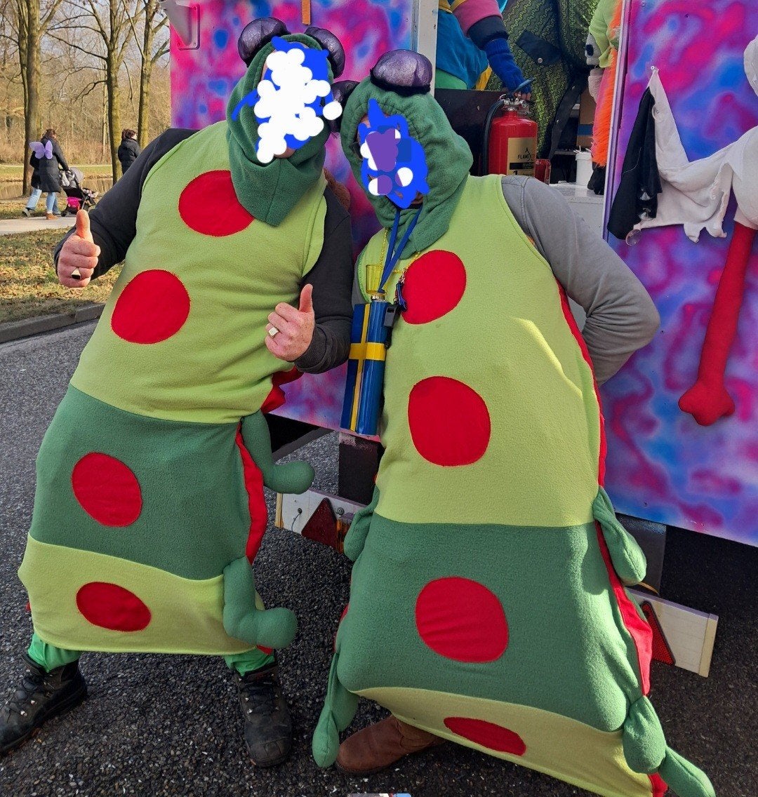 Complete Carnavalsloopgroep Tovertuin - 60 kostuums, Kleding | Dames, Carnavalskleding en Feestkleding, Ophalen, Zo goed als nieuw
