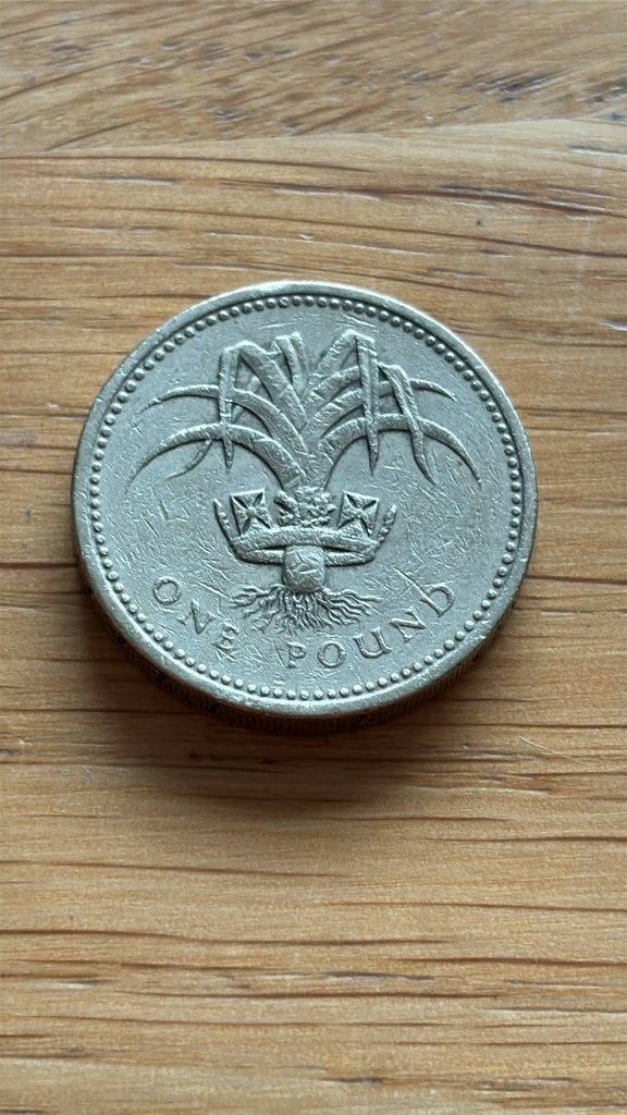 one pound 1985, Ophalen of Verzenden, Overige landen, Losse munt