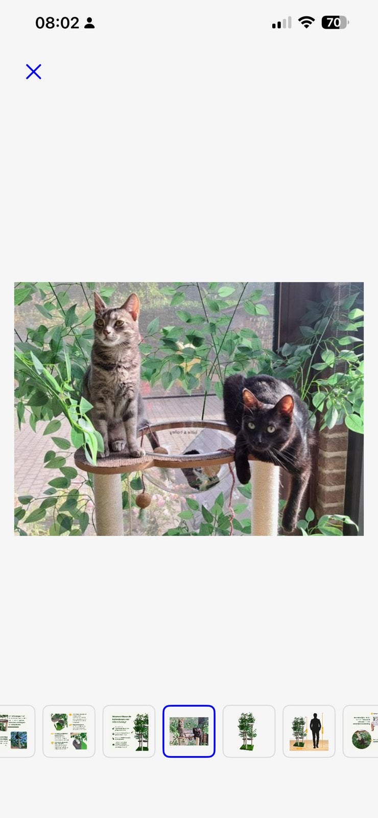 Krabpaal Billy & Bailey met blaadjes NIEUW NOG IN DOOS!!!, Dieren en Toebehoren, Ophalen of Verzenden, Nieuw