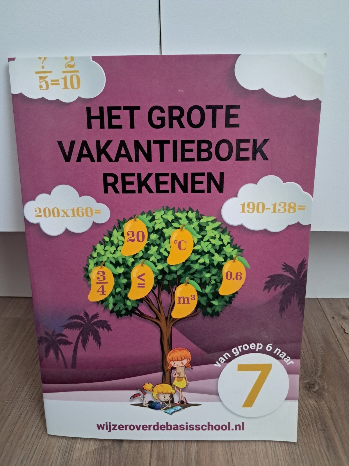 Het grote vakantieboek rekenen - Van groep 6 naar groep 7, Boeken, Ophalen of Verzenden, Nieuw, Overige niveaus, Nederlands