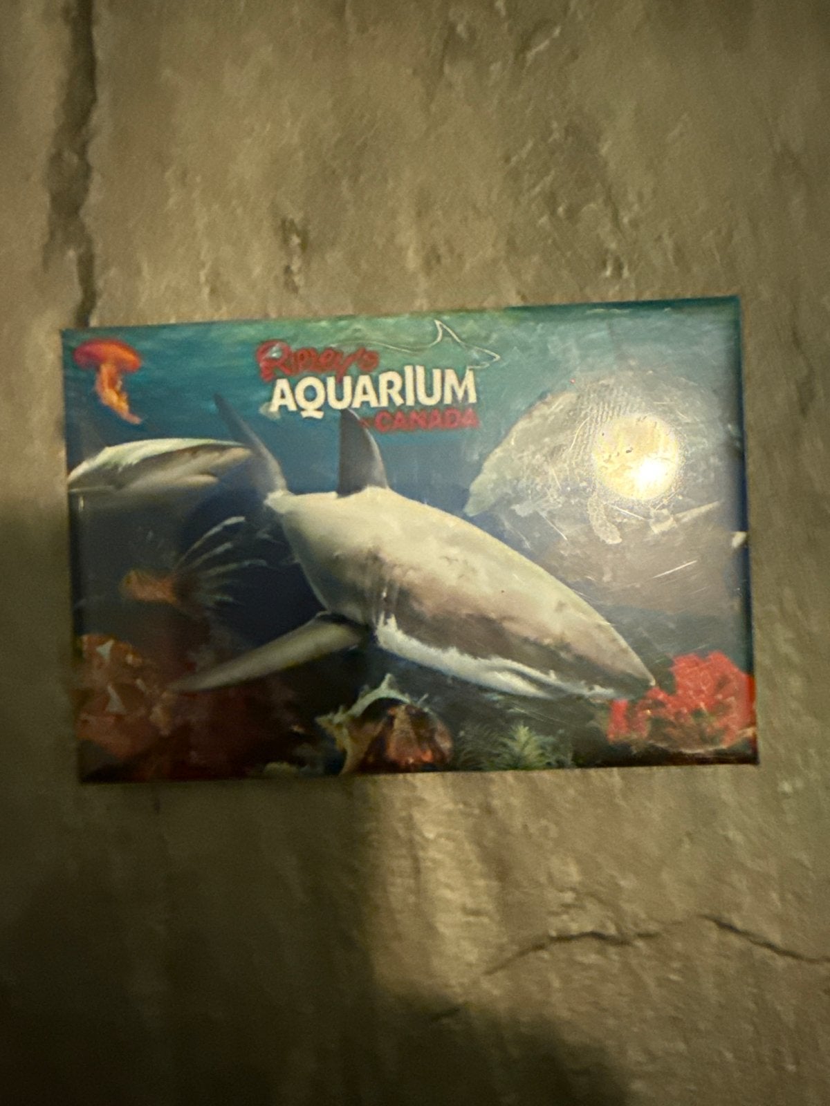 Ripley's Aquarium Canada Magneet, Verzamelen, Overige Verzamelen, Ophalen of Verzenden, Gebruikt