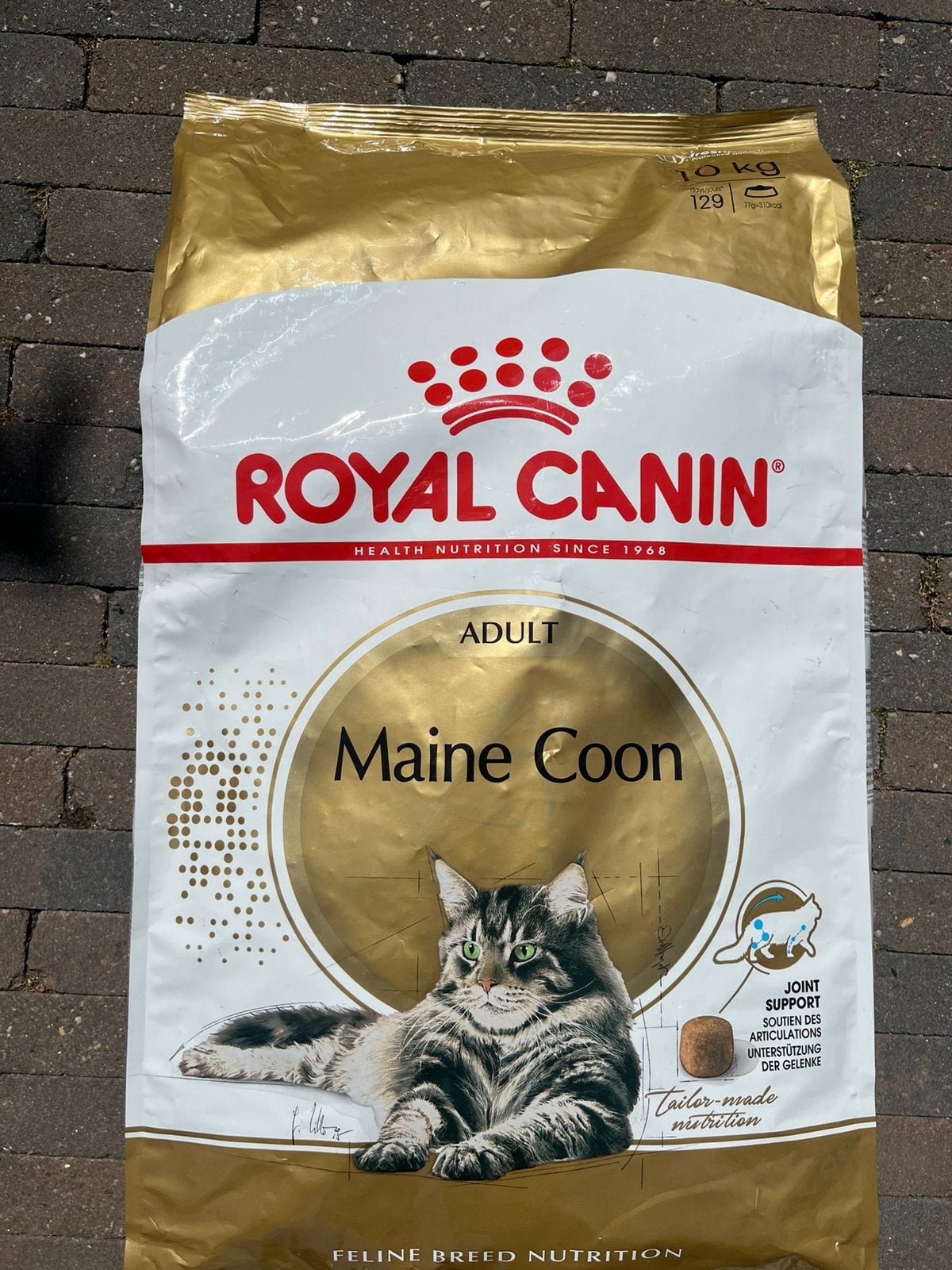 Royal Canin Maine Coon Adult Kattenvoer  10 kg, Dieren en Toebehoren, Ophalen of Verzenden, Kat
