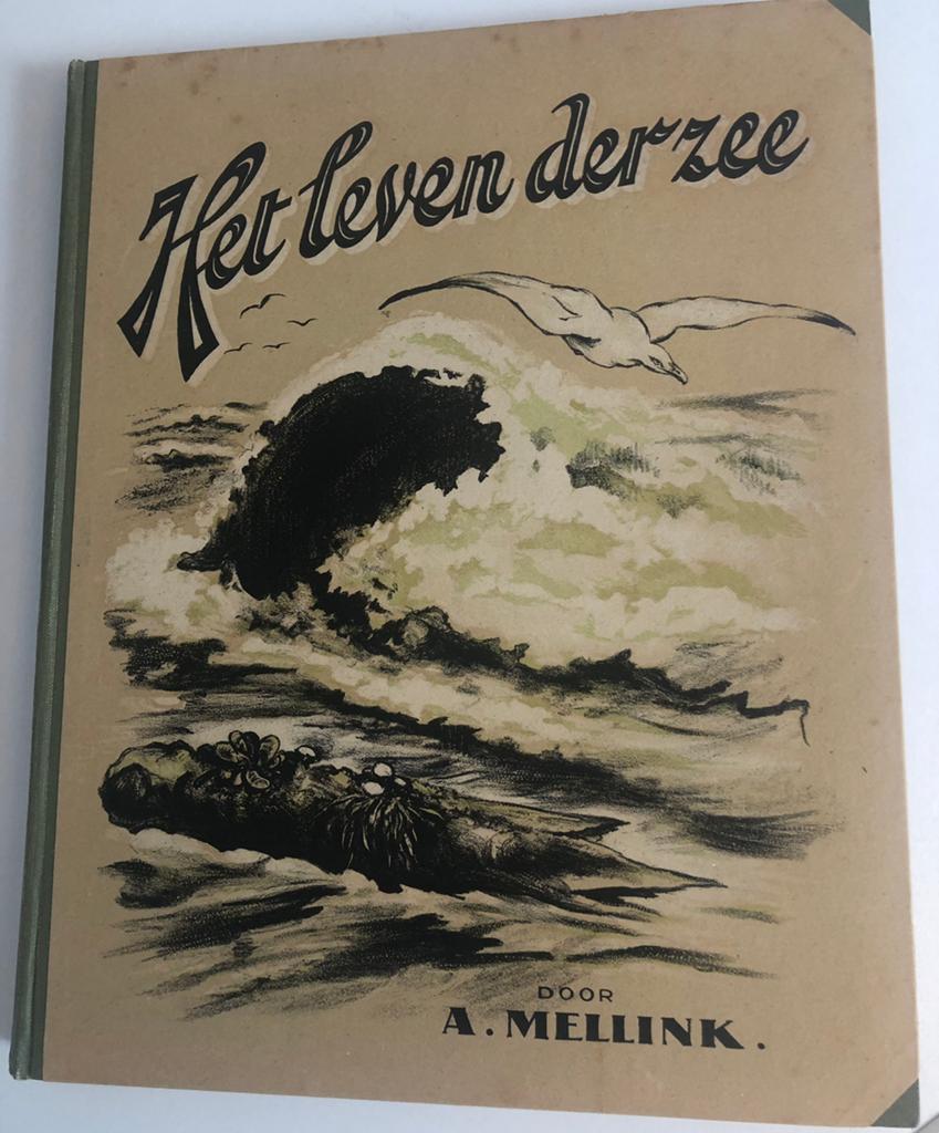 HET LEVEN DER ZEE door A MELLINK, Ophalen of Verzenden, Gelezen, Plaatjesalbum