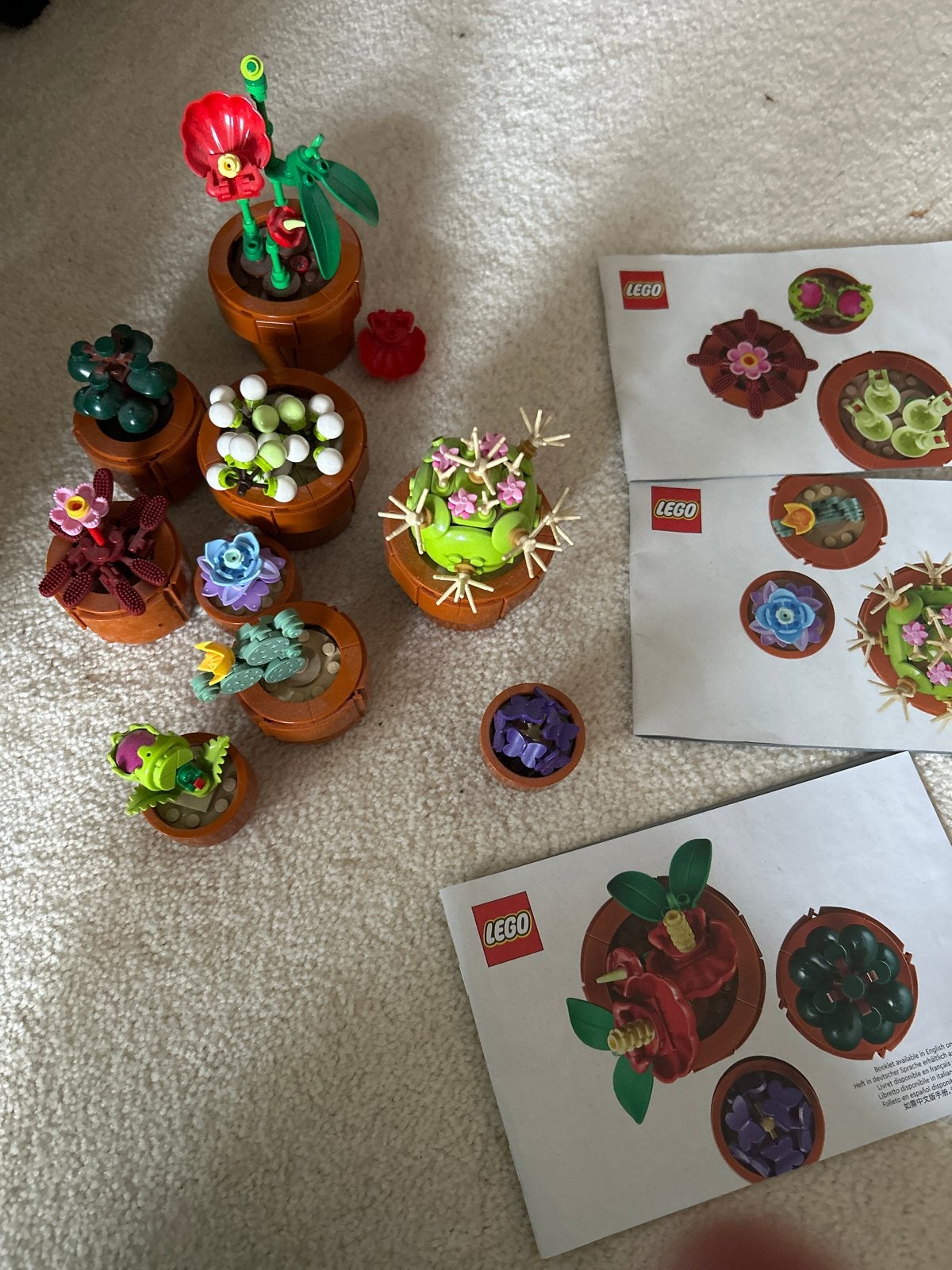 LEGO Botanische Collectie: Succulenten en Bloemen, Ophalen of Verzenden, Zo goed als nieuw, Overige merken