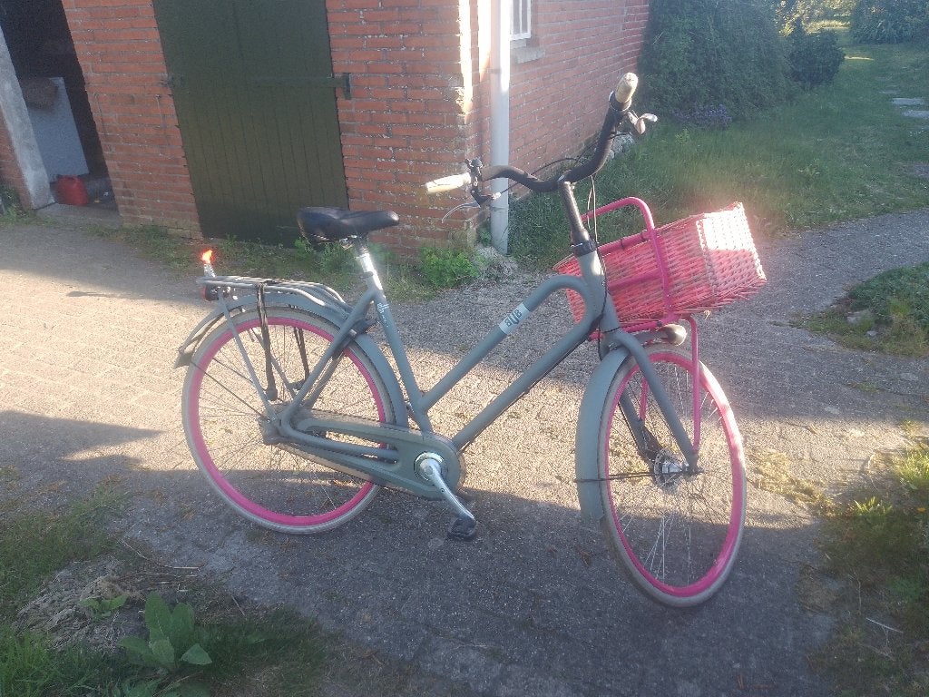 Batavus Bub damesfiets, 53 tot 56 cm, Ophalen, Zo goed als nieuw, Overige merken