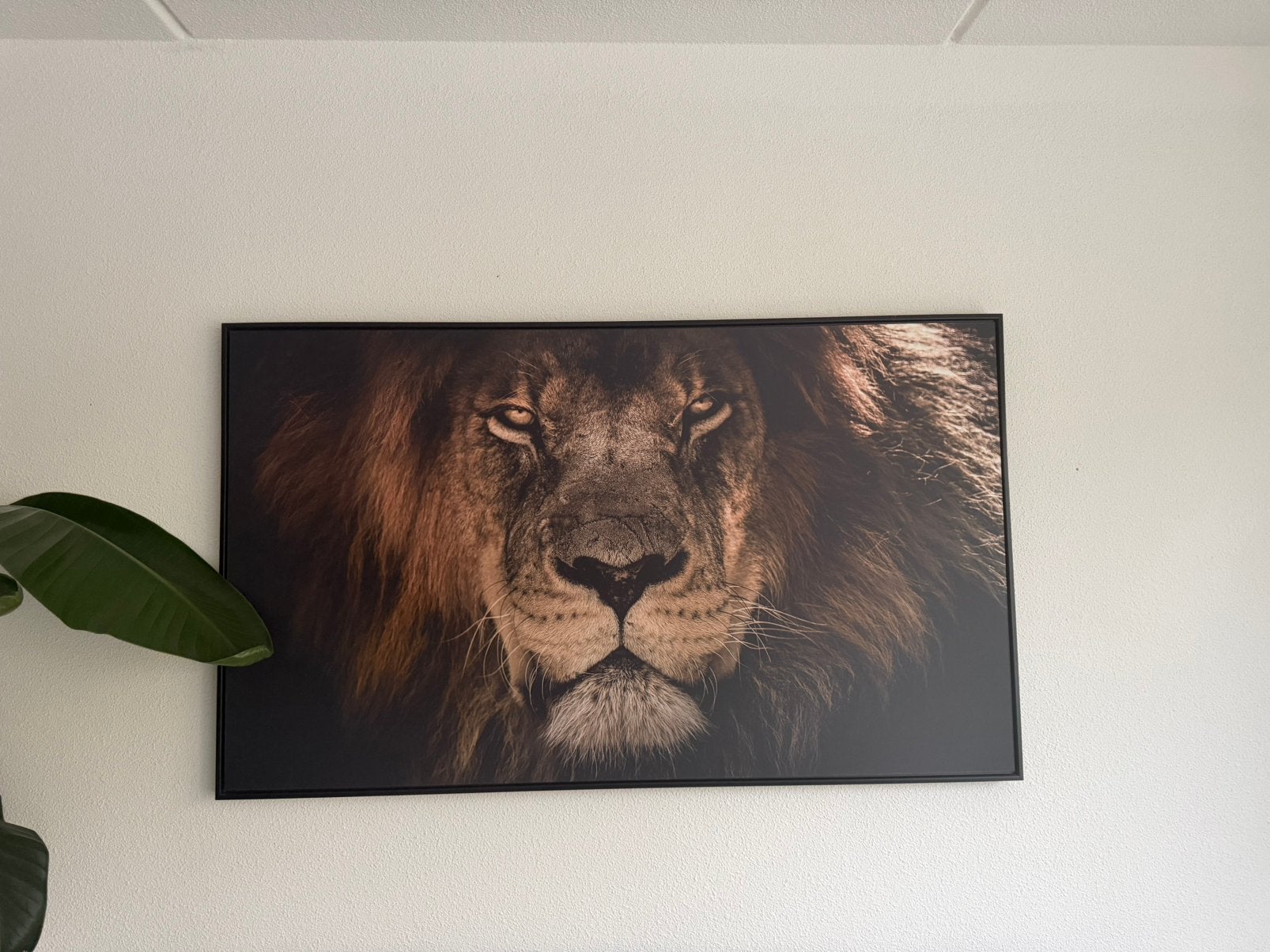 Schilderij Leeuw, Huis en Inrichting, Ophalen of Verzenden, Zo goed als nieuw, Schilderij