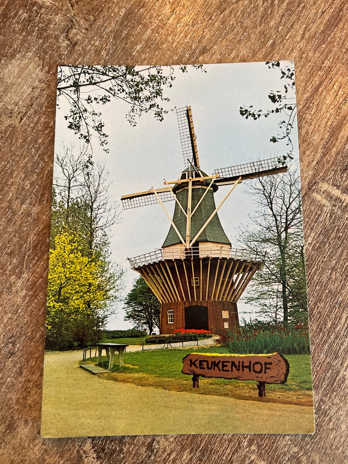 Vintage Ansichtkaart Keukenhof Molen Lisse Holland, Ophalen of Verzenden, 1960 tot 1980, Ongelopen, Zuid-Holland