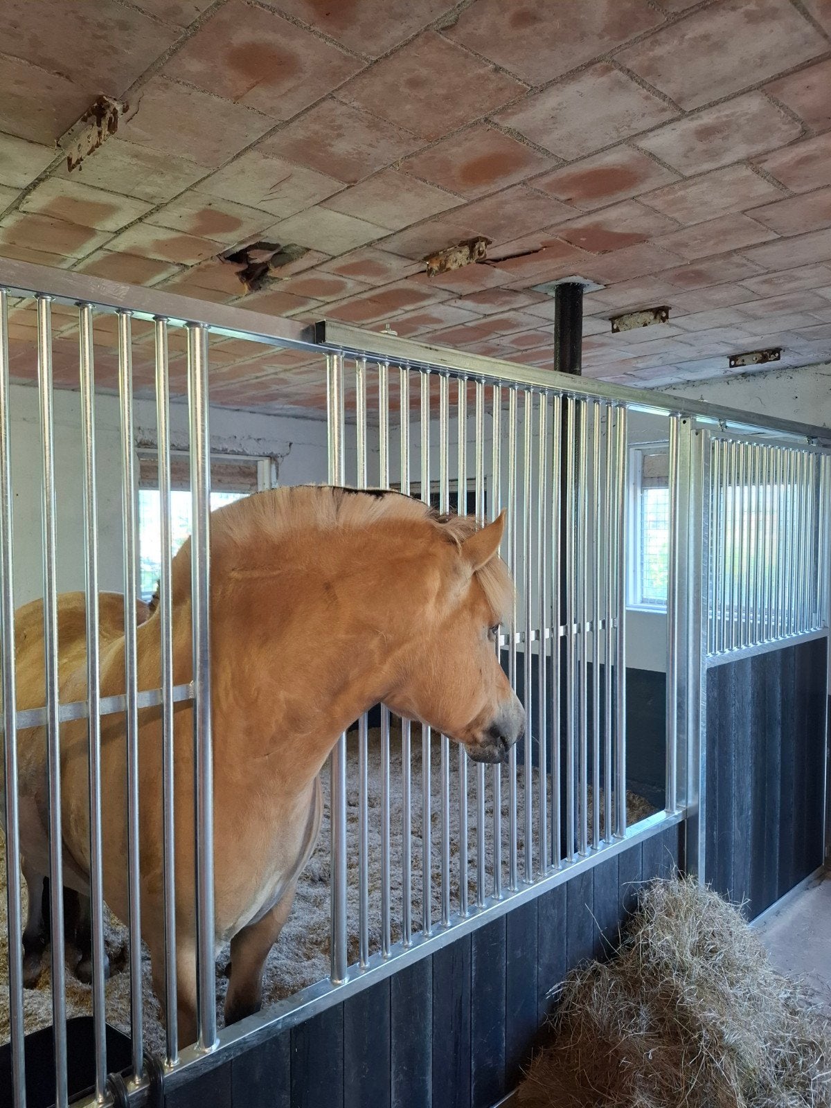 Rusthuis, Paarden met pensioen