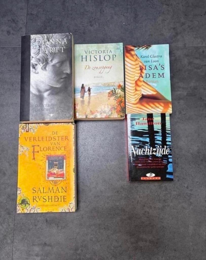 Boekenpakket: Donna Tartt, Victoria Hislop, Salman Rushdie e, Boeken, Romans, Gelezen, Europa overig, Ophalen of Verzenden
