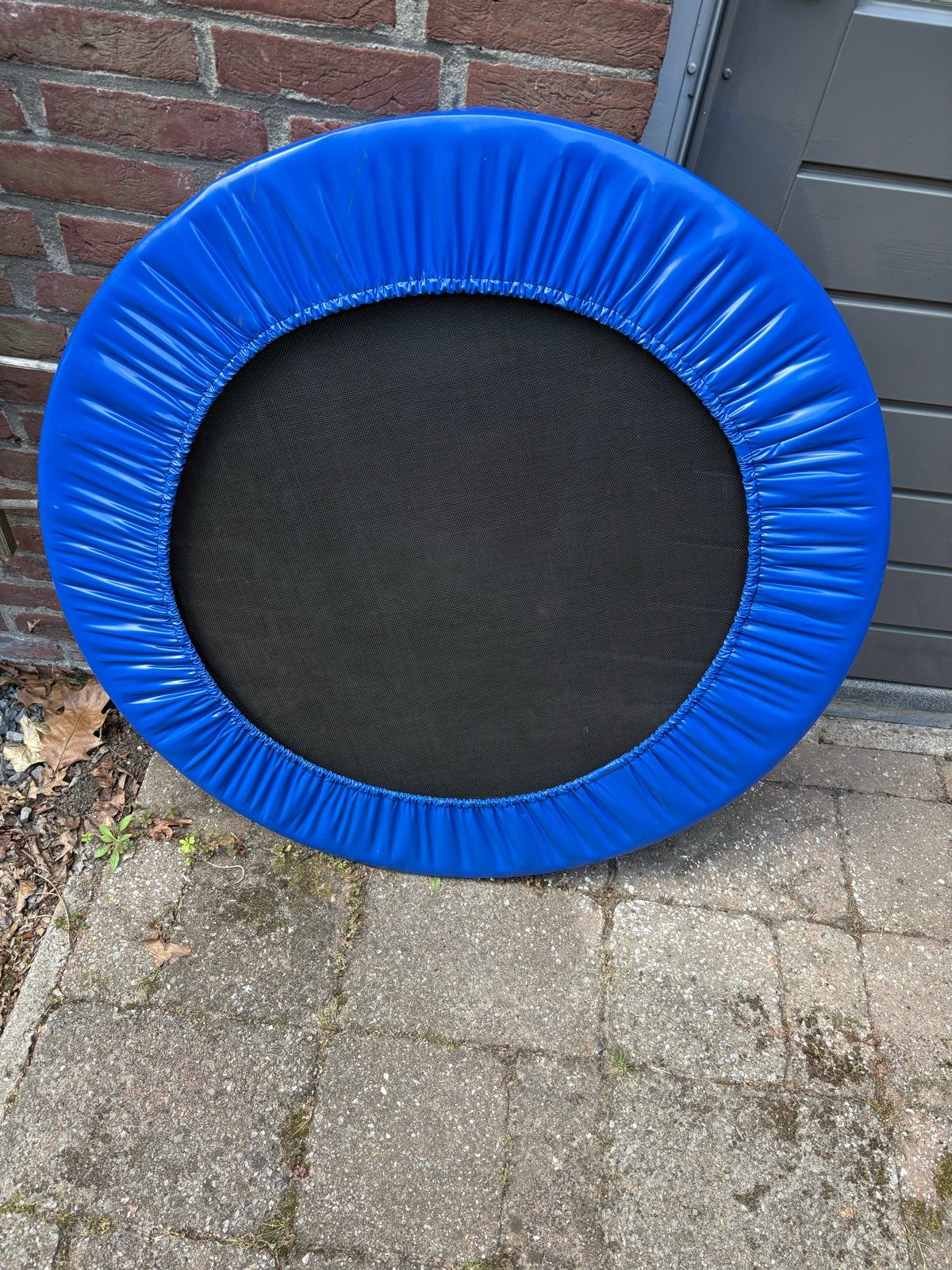 Mini trampoline voor fitness- blauw, Ophalen, Zo goed als nieuw