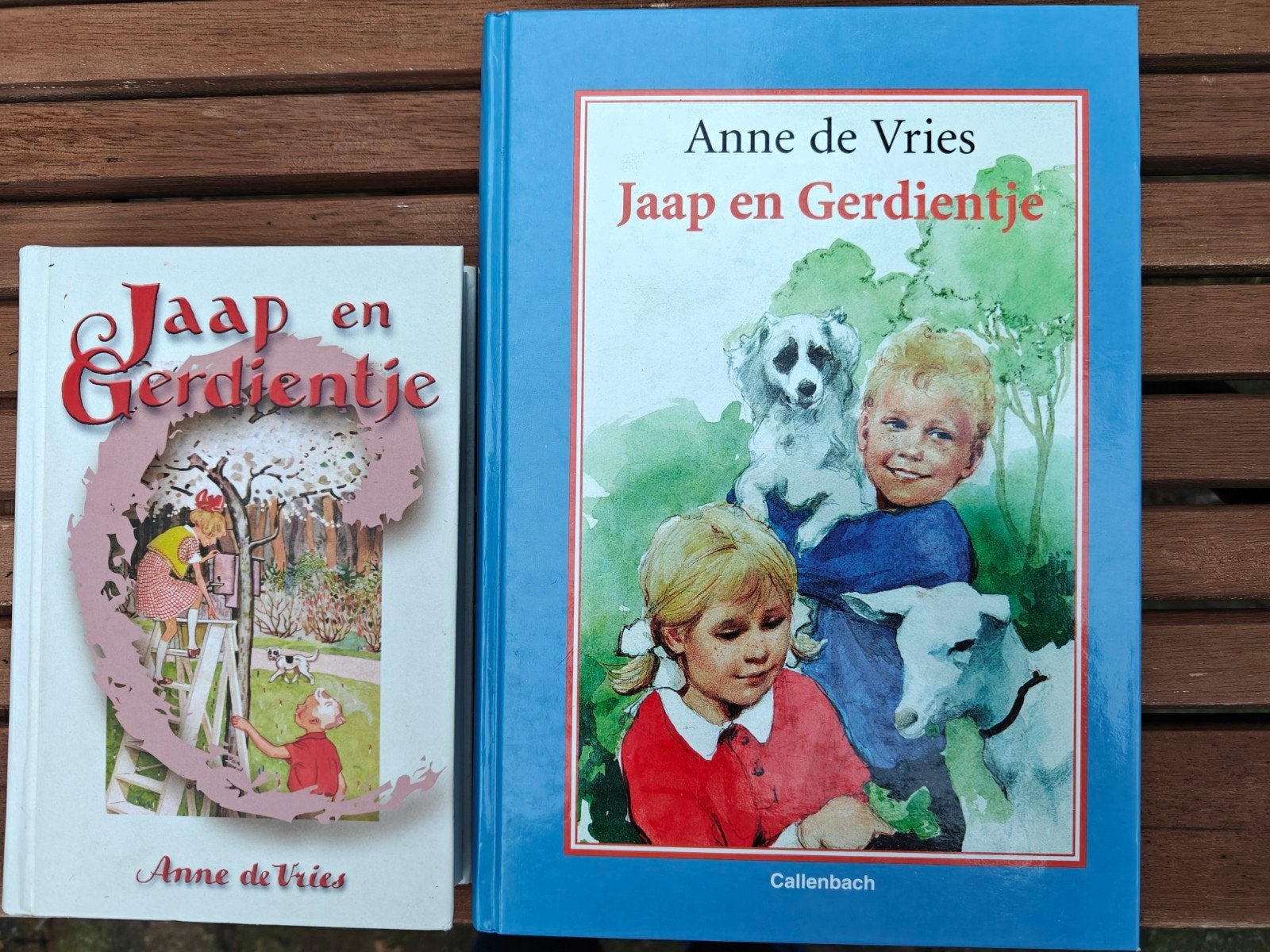 2 Boeken van Jaap en Gerdientje., Boeken, Ophalen of Verzenden, Gelezen, 3 tot 4 jaar